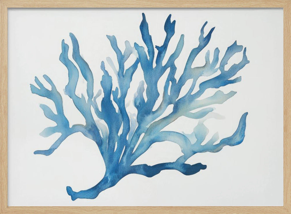 Blaue Koralle | Poster