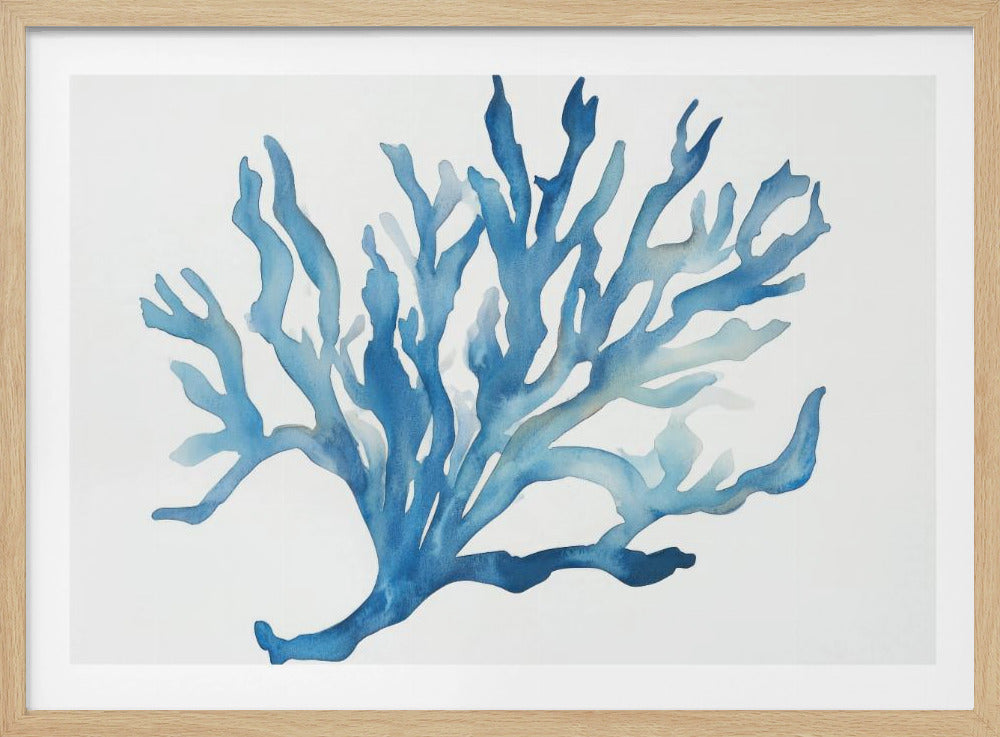 Blaue Koralle | Poster