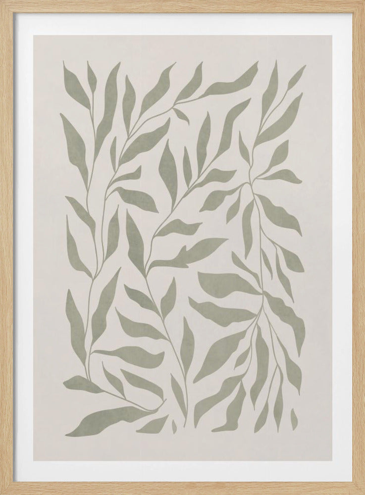 Olivgrüne Blätter | Poster