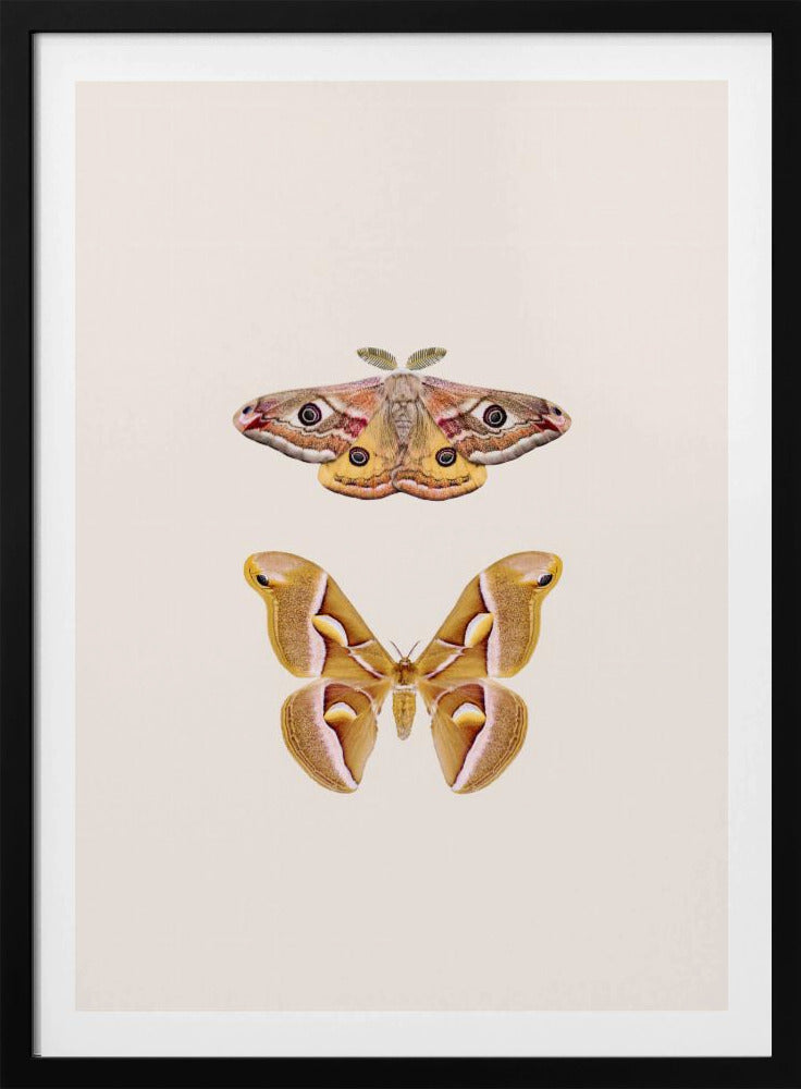 Motten | Poster