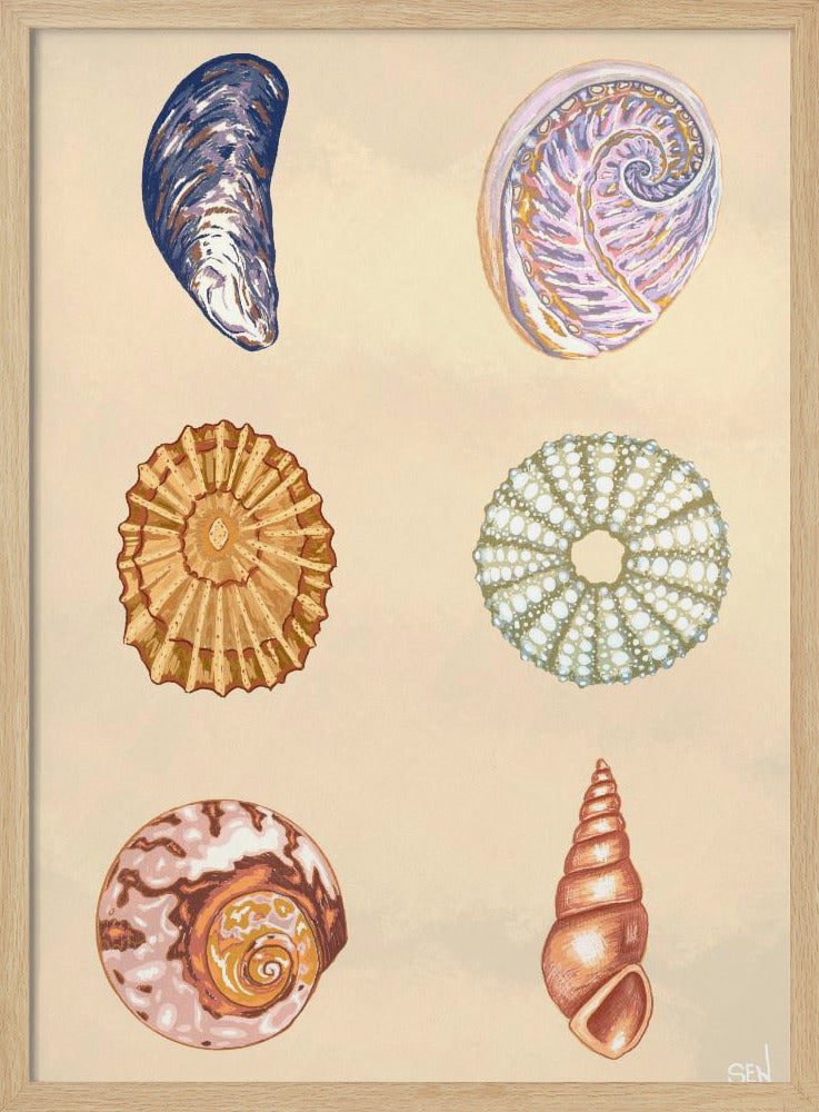 Schätze der Gezeiten | Poster