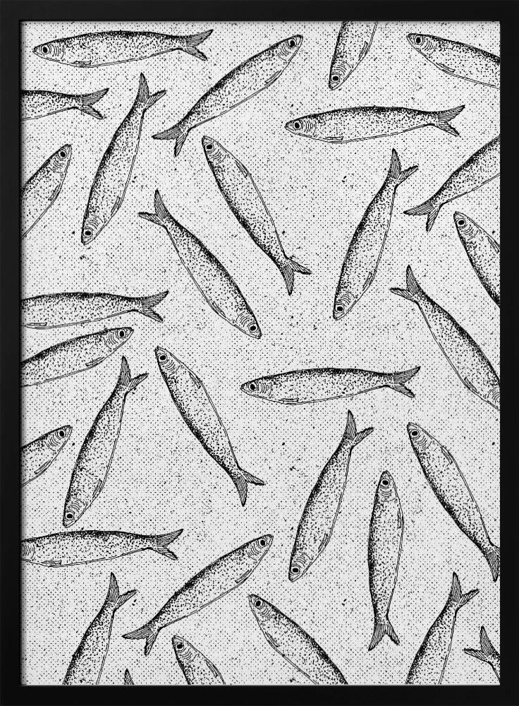 Sardinenfischmuster | Poster