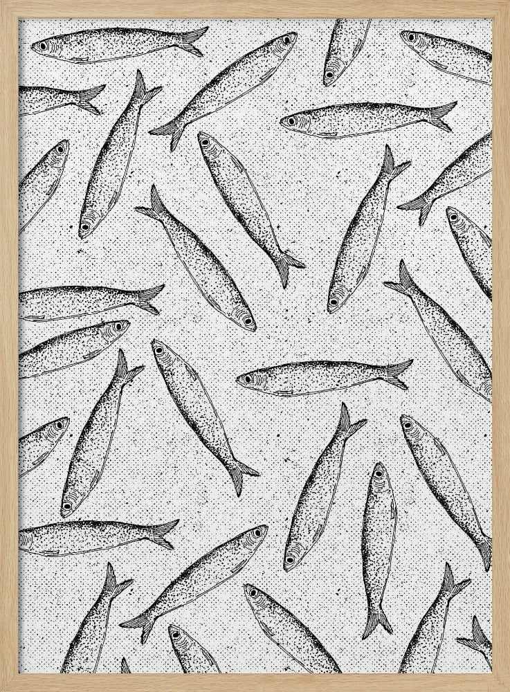 Sardinenfischmuster | Poster