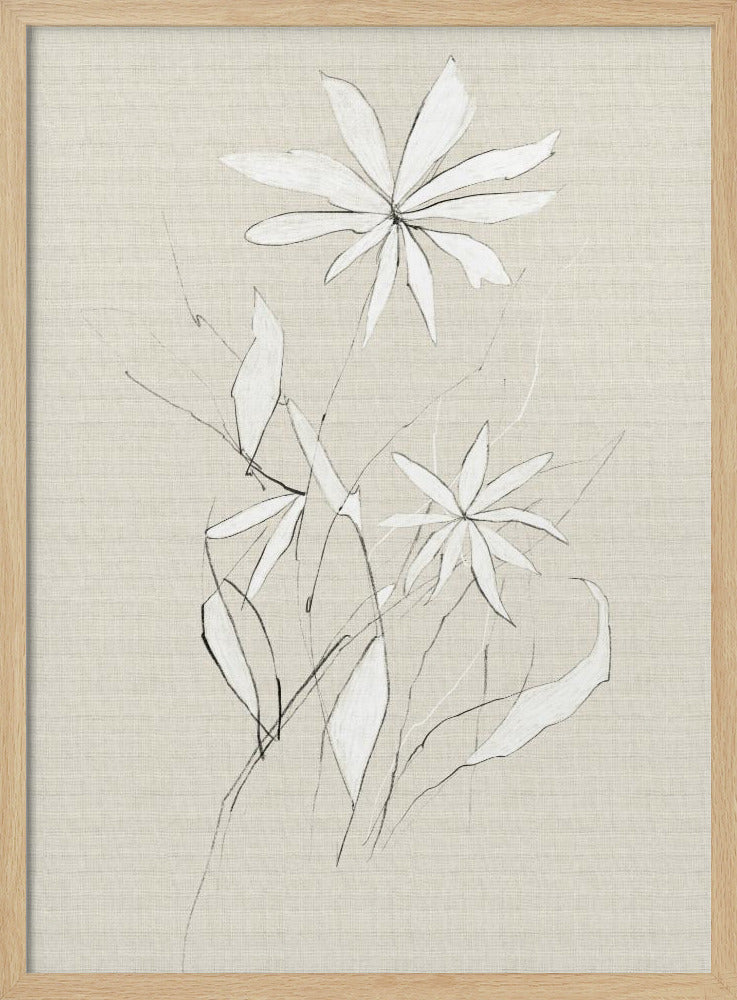 Bauernhofblume | Poster