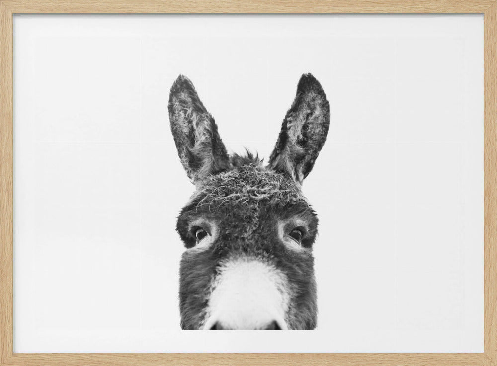 Guckender Esel SW | Poster