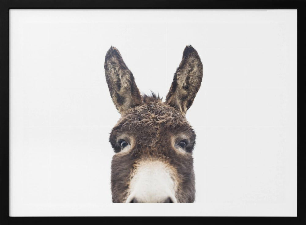 Guckender Esel | Poster