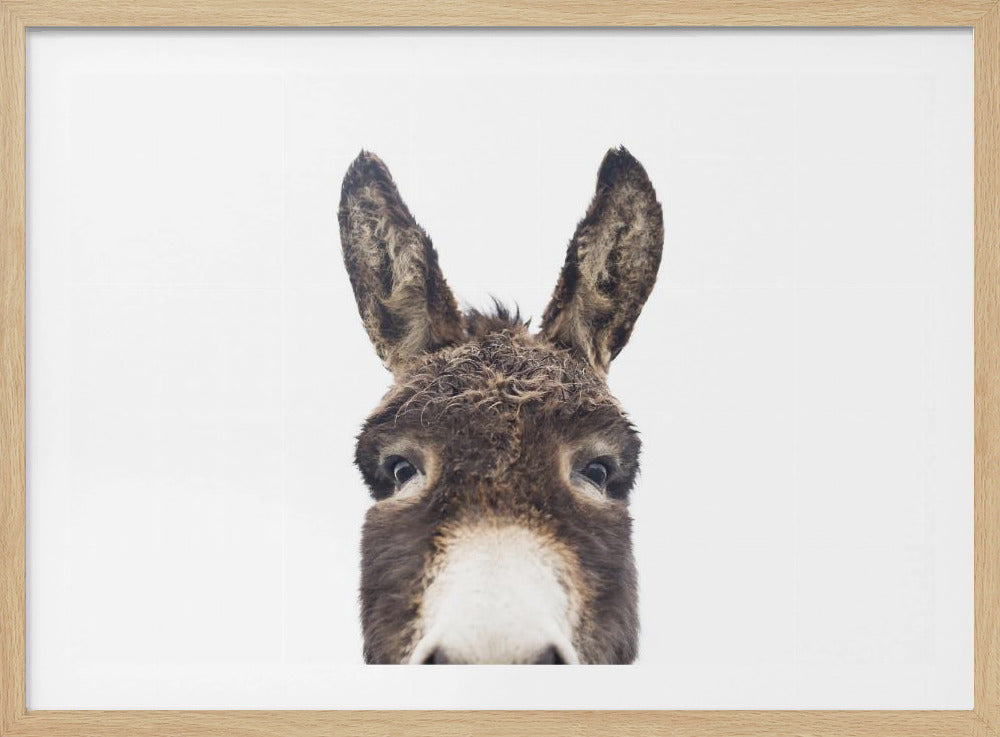 Guckender Esel | Poster