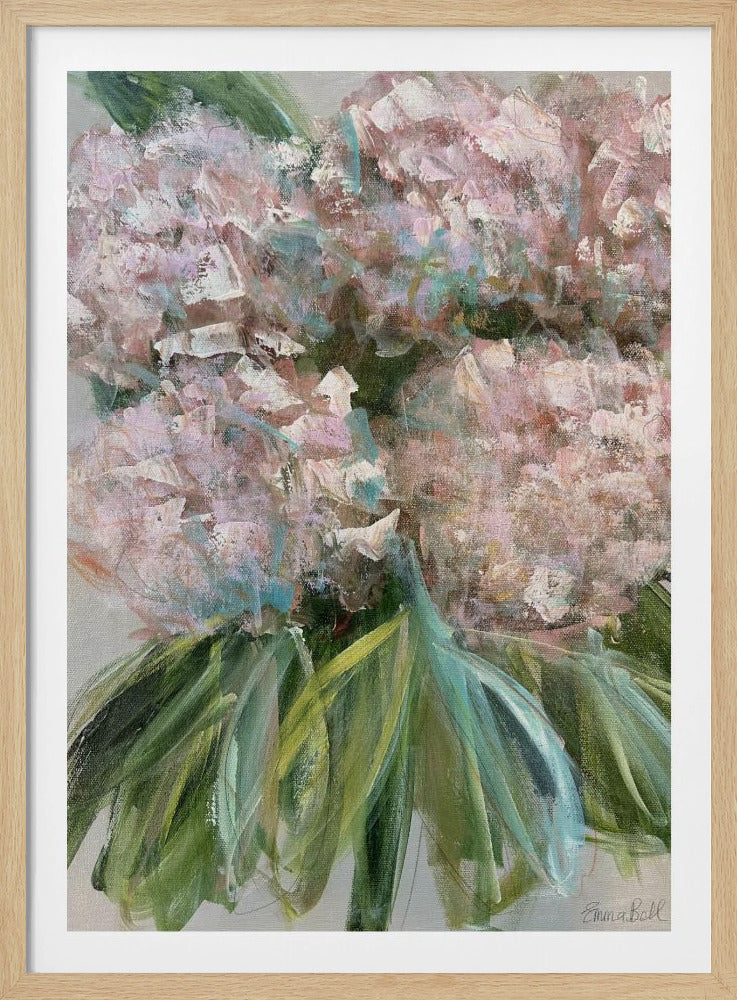Rosa Hortensien mit grünen Blättern | Poster