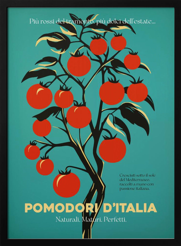Leuchtend rote Tomaten | Poster