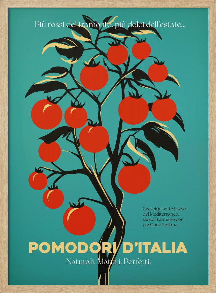 Leuchtend rote Tomaten | Poster