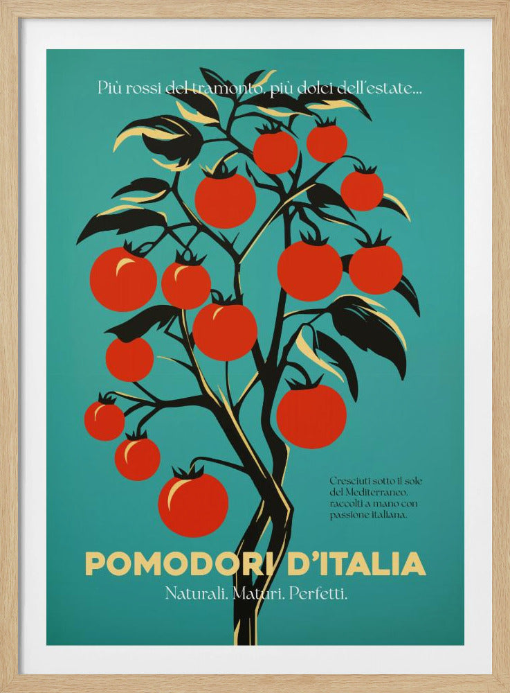 Leuchtend rote Tomaten | Poster