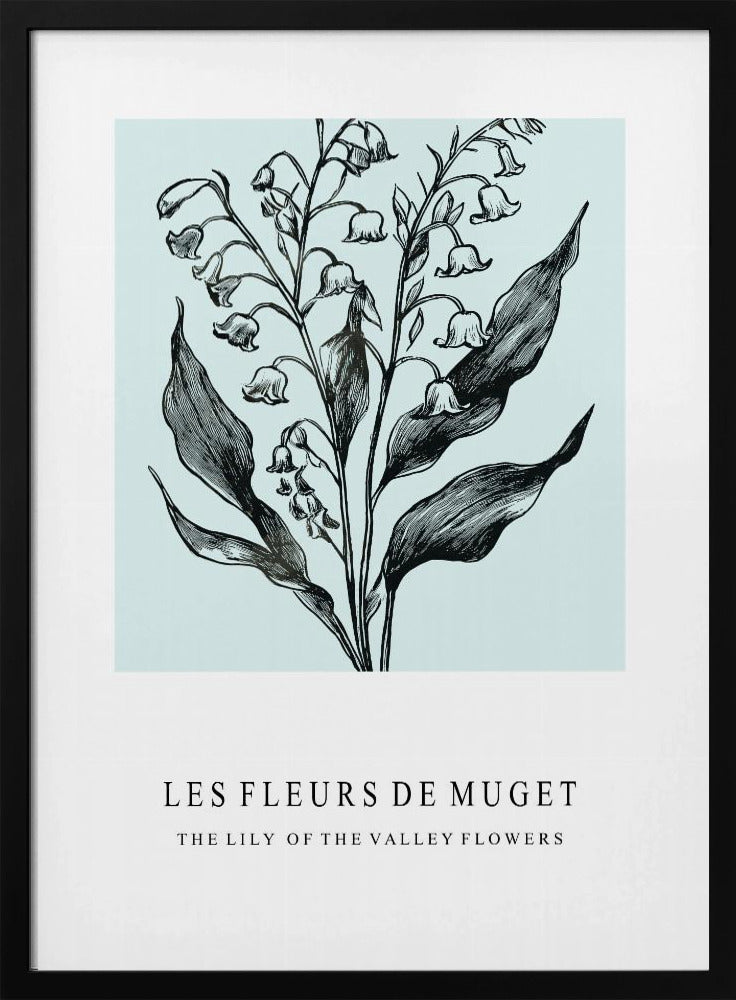 Maiglöckchenblüten in einer monochromen Illustration | Poster