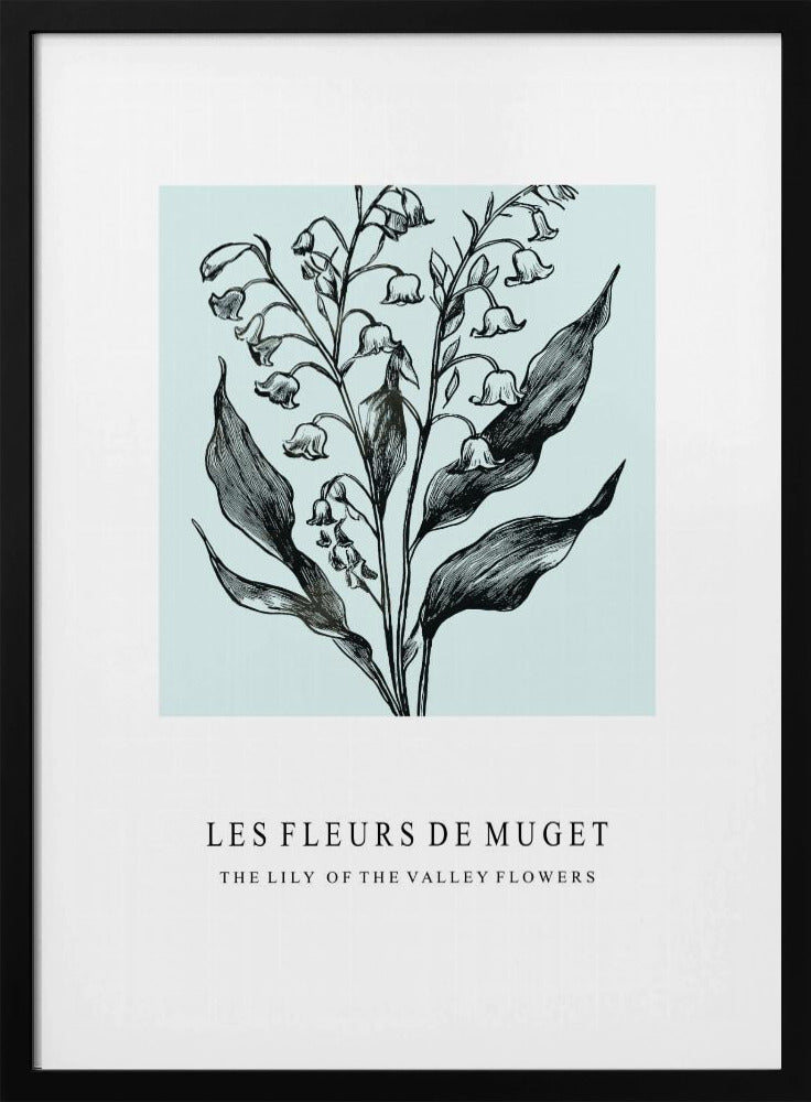 Maiglöckchenblüten in einer monochromen Illustration | Poster