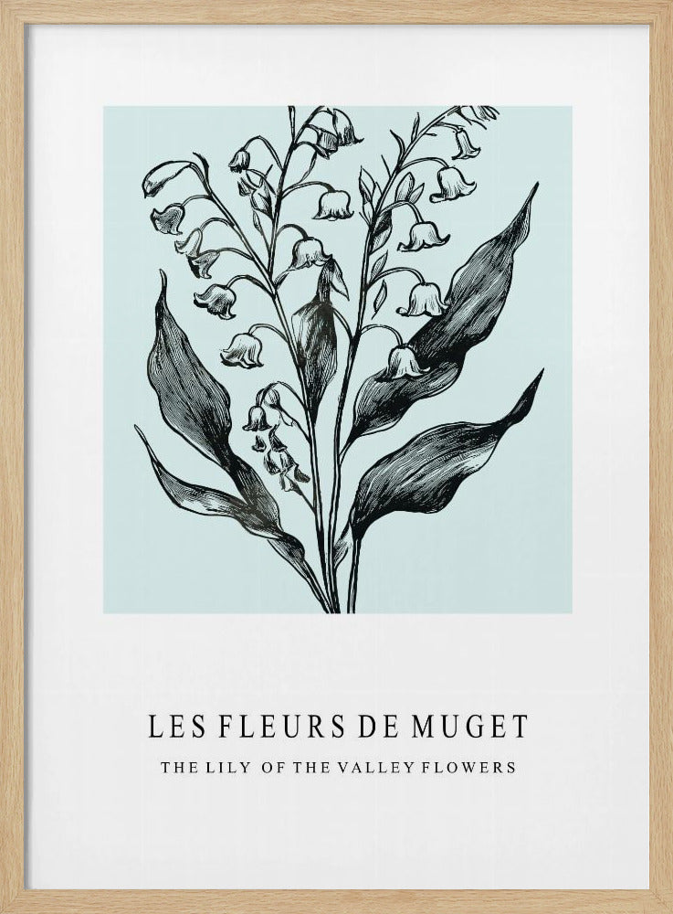 Maiglöckchenblüten in einer monochromen Illustration | Poster