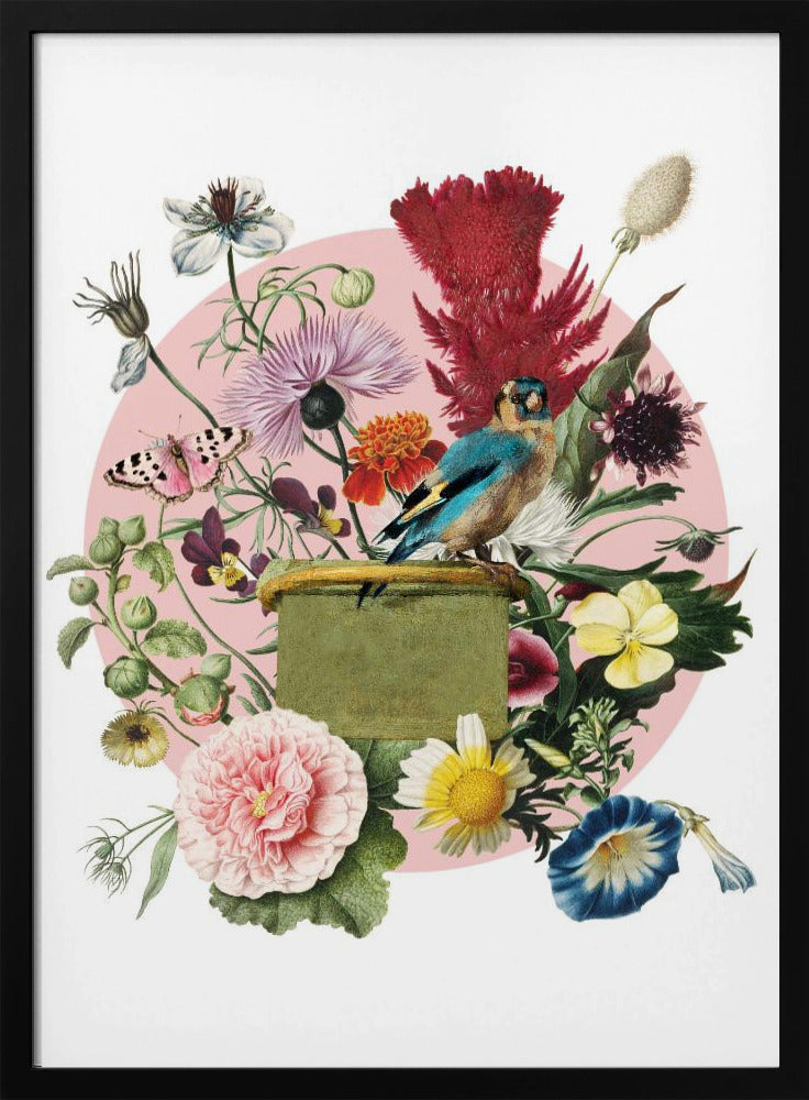 Bunter Vogel auf einer Kiste | Poster