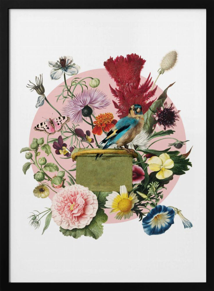 Bunter Vogel auf einer Kiste | Poster