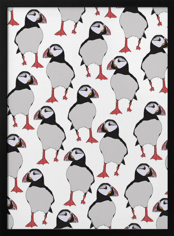 Papageientaucher-Vogelmuster | Poster