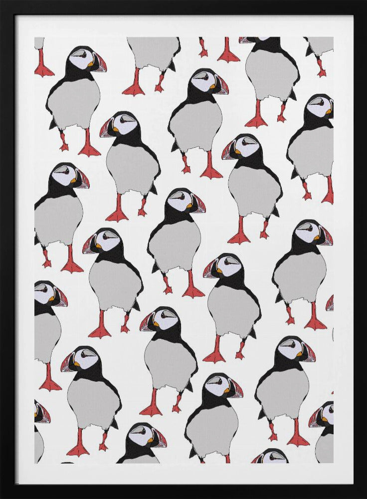 Papageientaucher-Vogelmuster | Poster