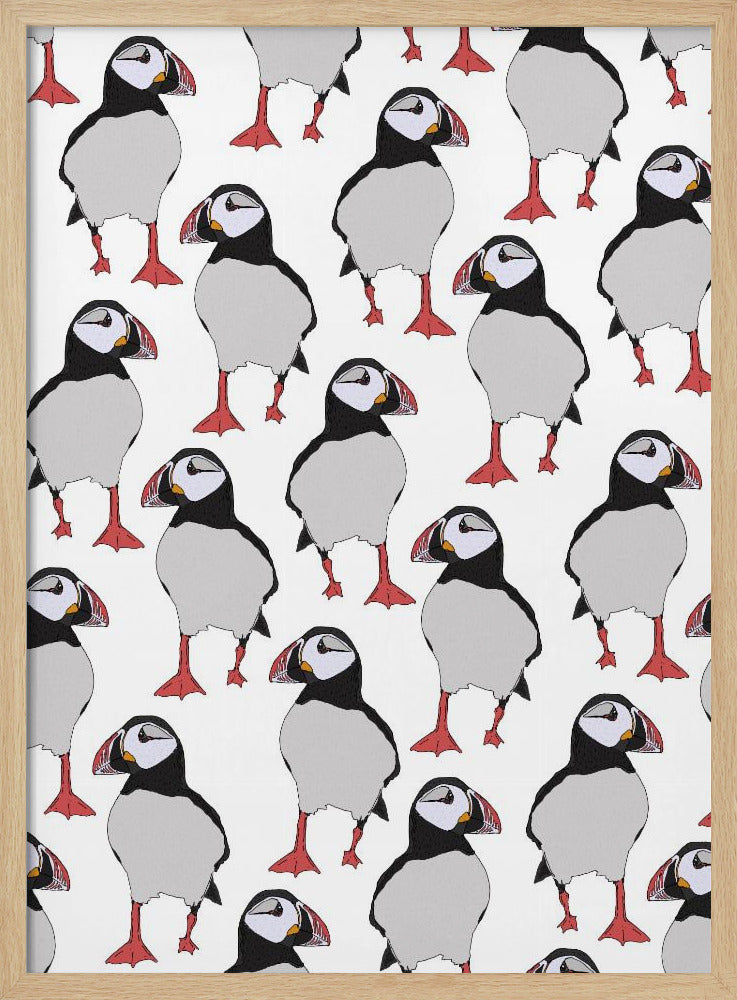 Papageientaucher-Vogelmuster | Poster