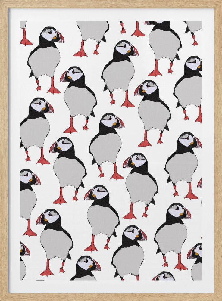 Papageientaucher-Vogelmuster | Poster
