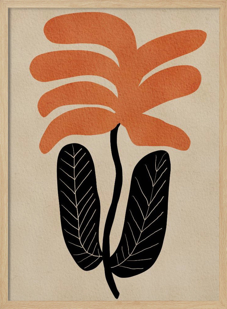 Orangefarbene Blumenblume | Poster
