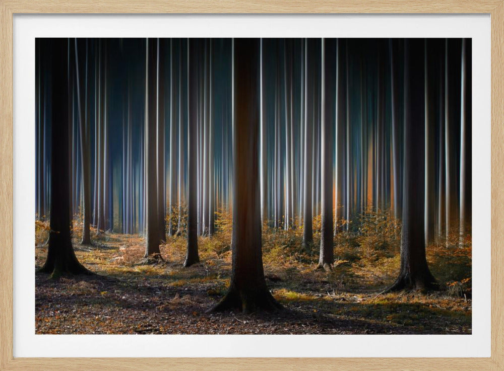 Mystischer Wald | Poster