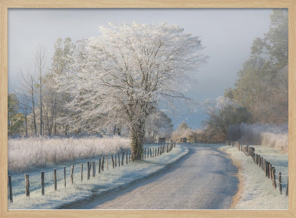 Ein frostiger Morgen | Poster