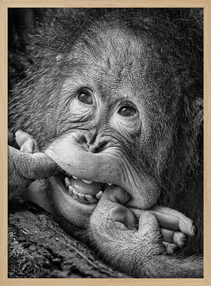 Großes Lächeln.....bitte | Poster