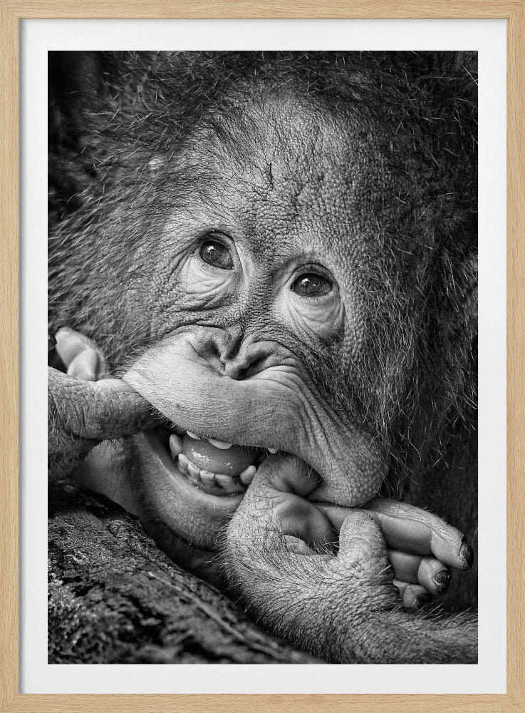 Großes Lächeln.....bitte | Poster