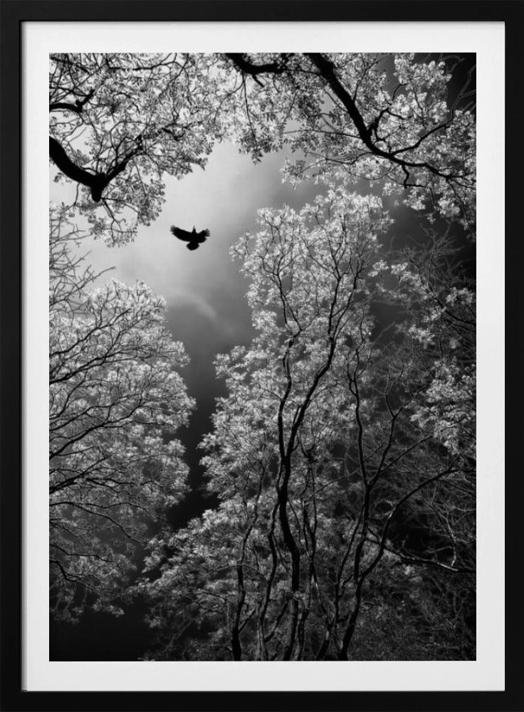 Flug | Poster