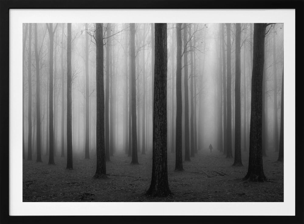 Im Nebel | Poster