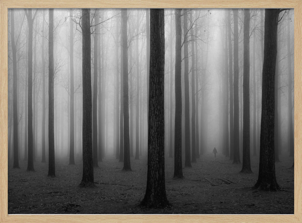 Im Nebel | Poster