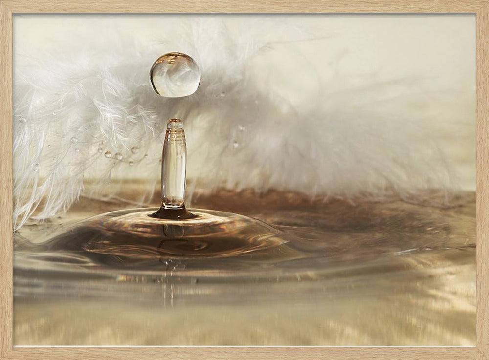 Goldene Federtropfen | Poster