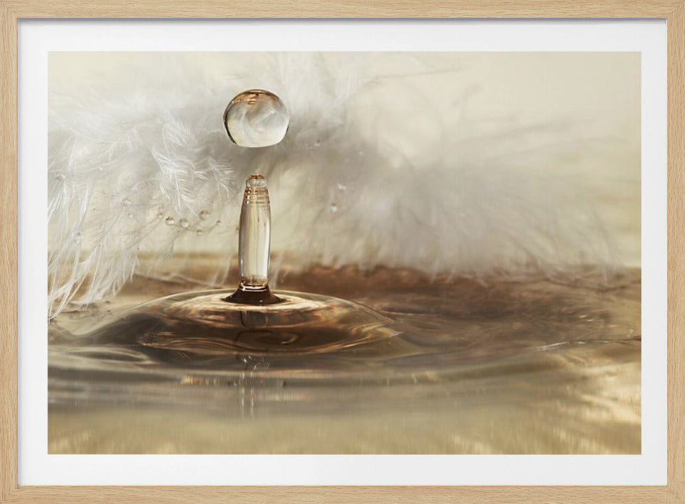 Goldene Federtropfen | Poster