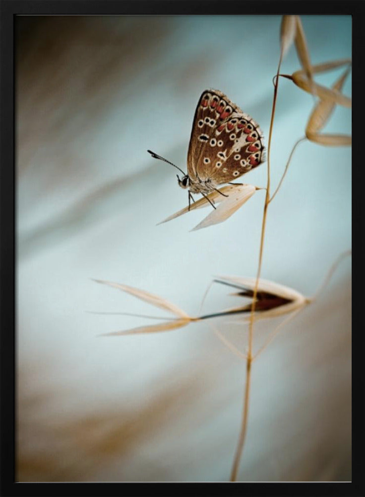 Traum in Blau | Poster