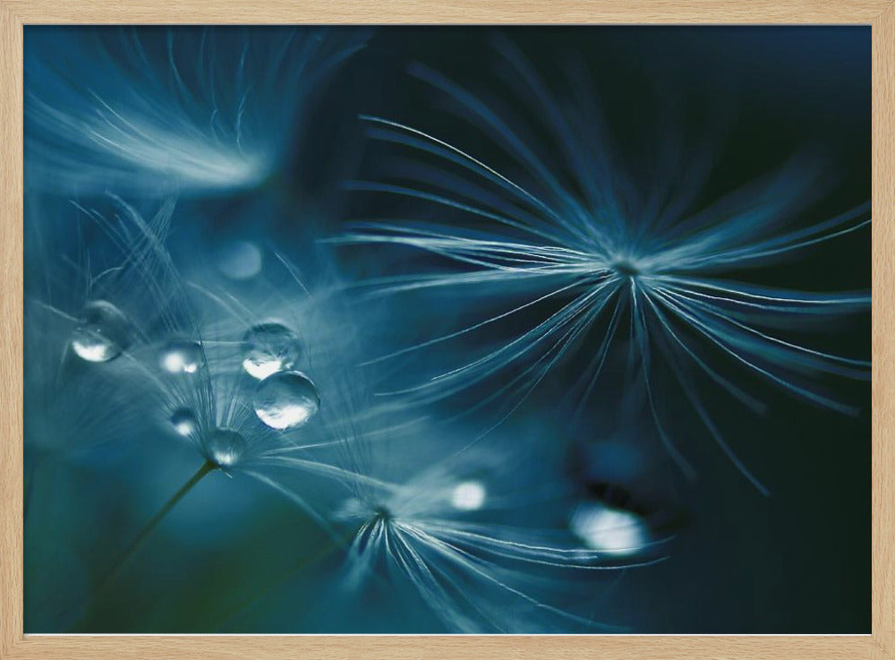 soft touch | Poster
