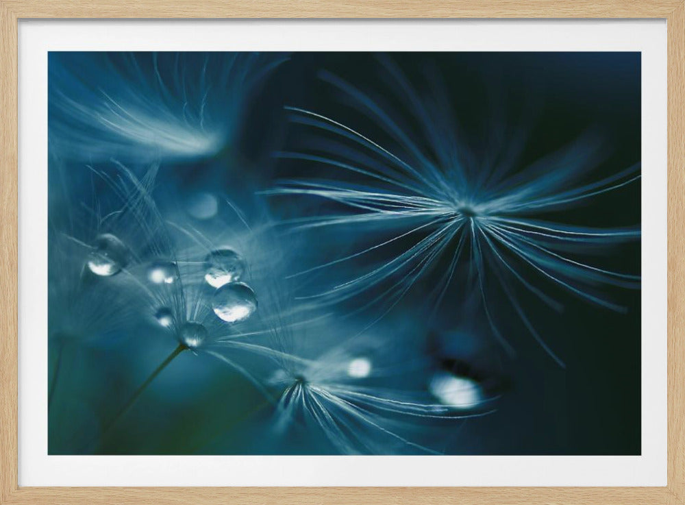 soft touch | Poster