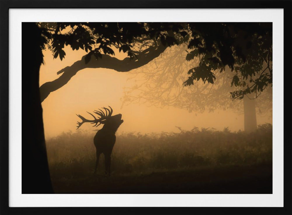 der Liebesruf | Poster