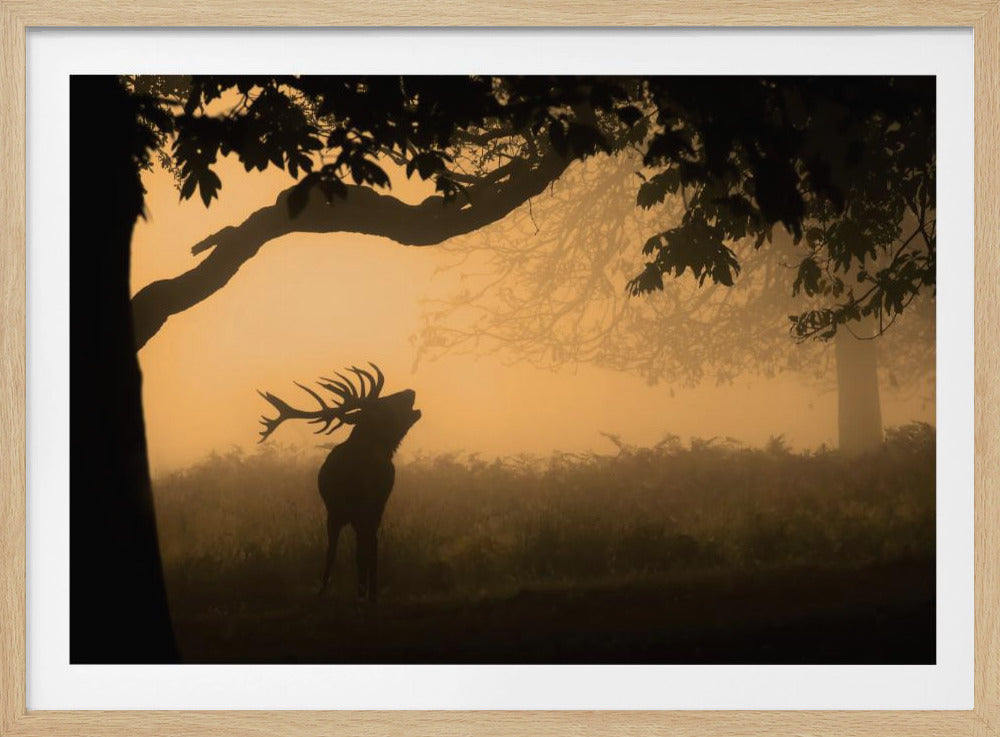 der Liebesruf | Poster