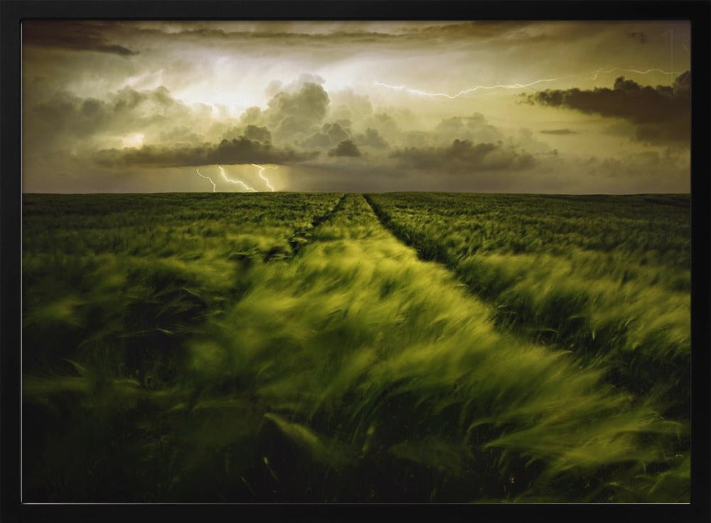 Reise zum heftigen Sturm | Poster