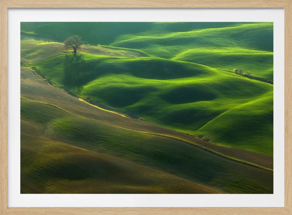 Eiche... | Poster