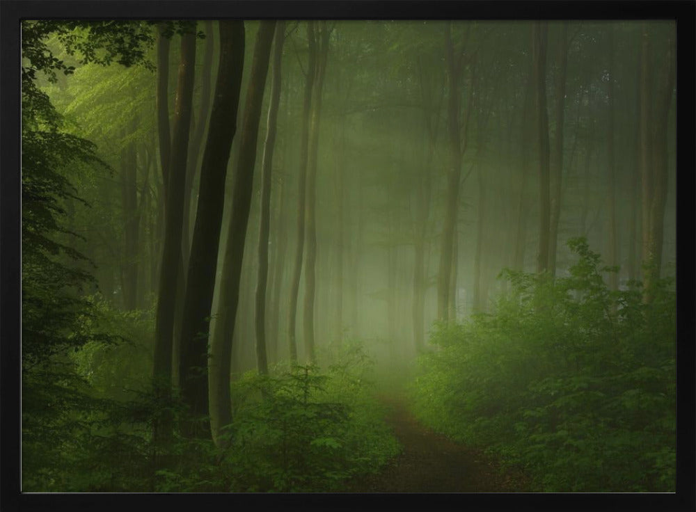 Waldmorgen | Poster