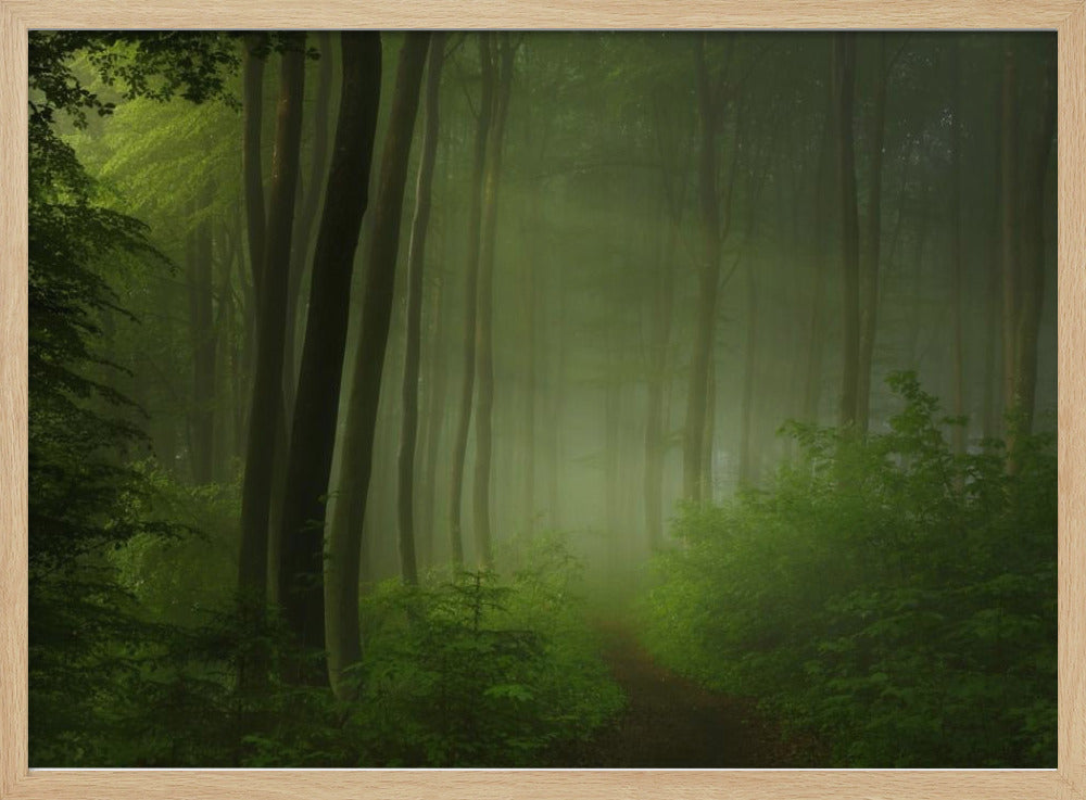 Waldmorgen | Poster