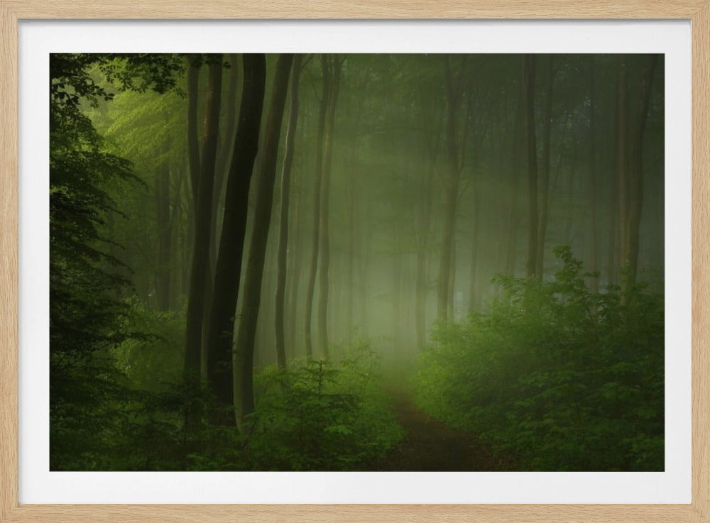 Waldmorgen | Poster