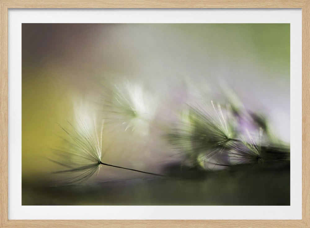 Am Morgen | Poster