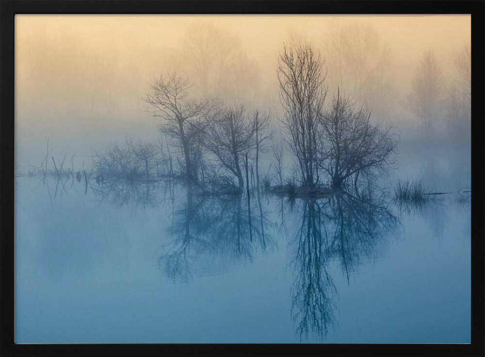 Morgenreflexion | Poster