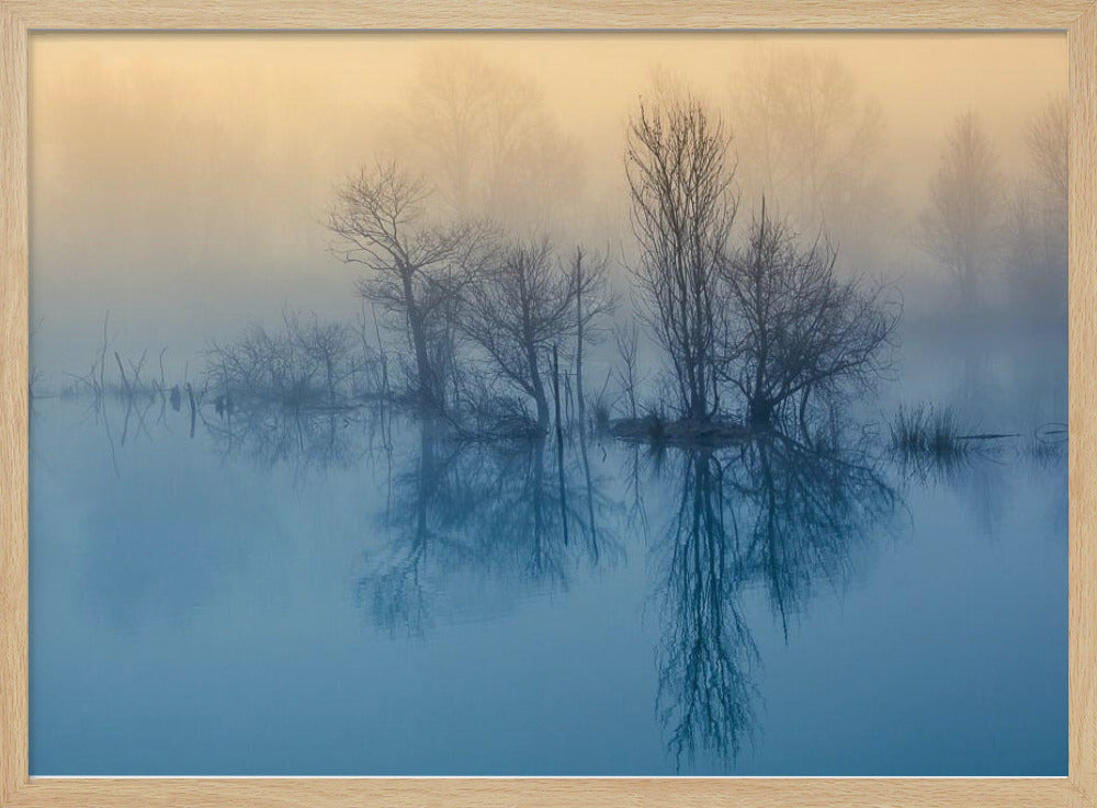 Morgenreflexion | Poster