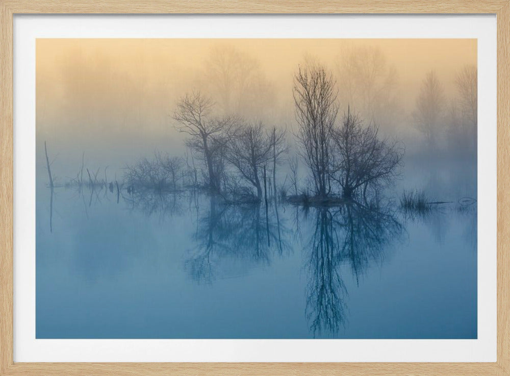 Morgenreflexion | Poster