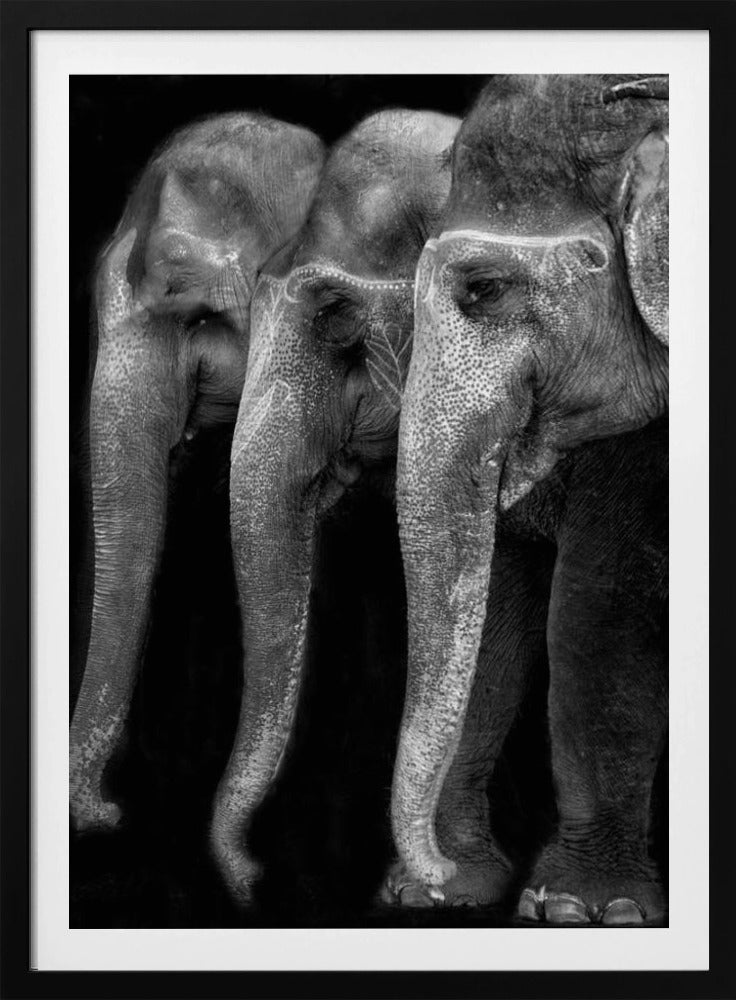 Das große Meisterwerk der Natur, ein Elefant; das einzig harmlose große Ding ... | Poster