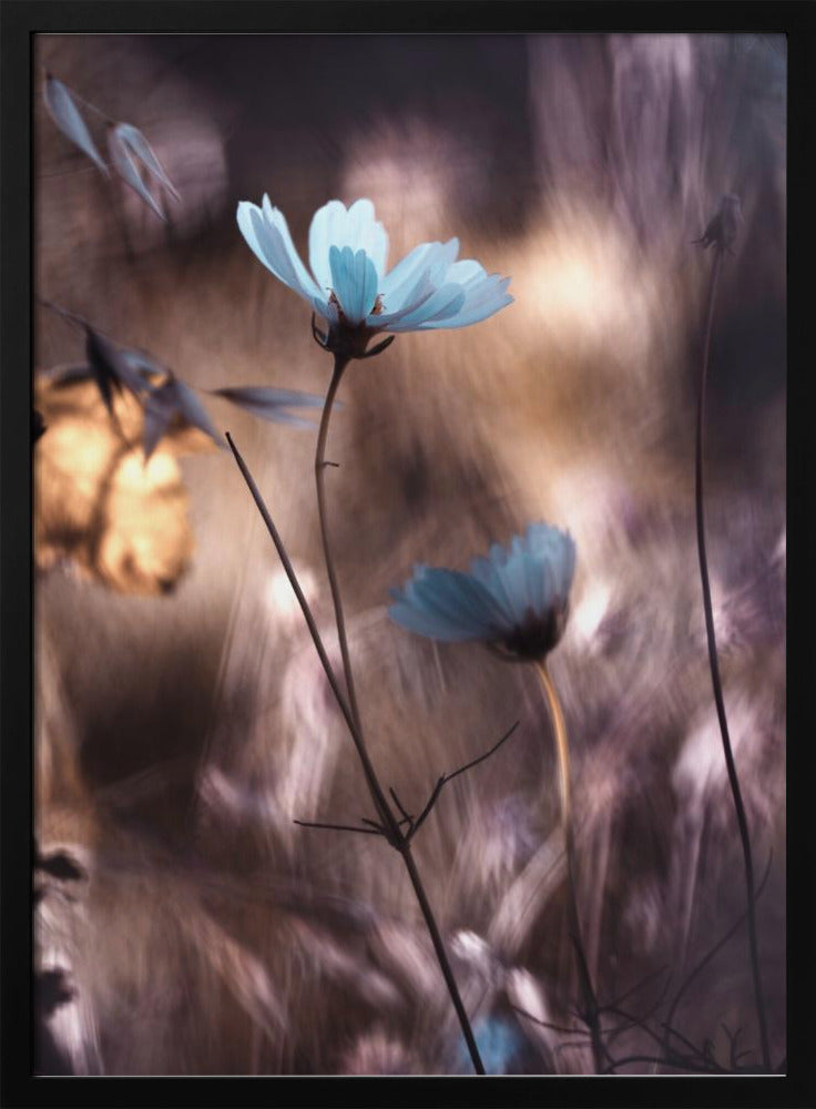 Herbststimmung | Poster
